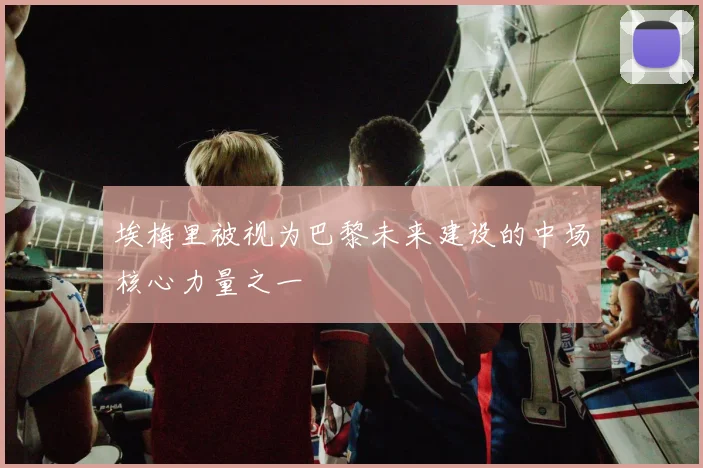 埃梅里被视为巴黎未来建设的中场核心力量之一